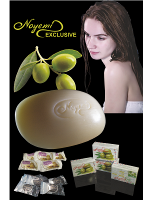 Noyemi poster exclusive