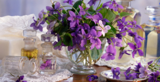 Violets in Glass Vase and Old Glass Perfume Bottles on Wooden Table with Lace Cloth